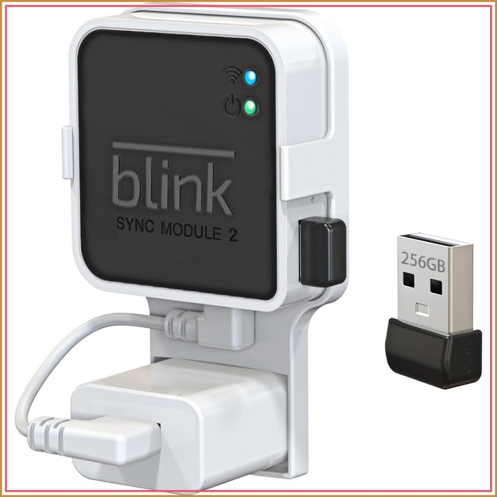 Home Security Images - แฟลชไดรฟ์ USB ขนาด 256GB พร้อมที่ยึดติดผนังสำหรับโมดูลบลิงค์ซิงค์ 2,