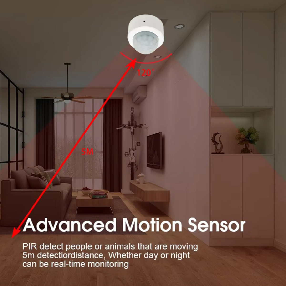 เซ็นเซอร์ตรวจจับความเคลื่อนไหว - Home Security Tools บทวิจารณ์และราคา