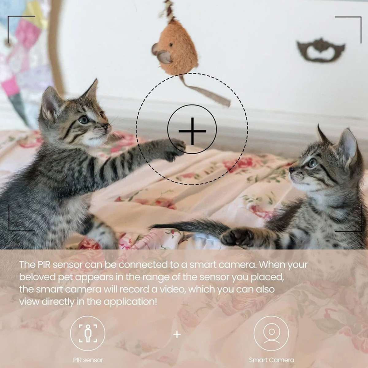 เซ็นเซอร์ตรวจจับความเคลื่อนไหว - Home Security Tools บทวิจารณ์และราคา