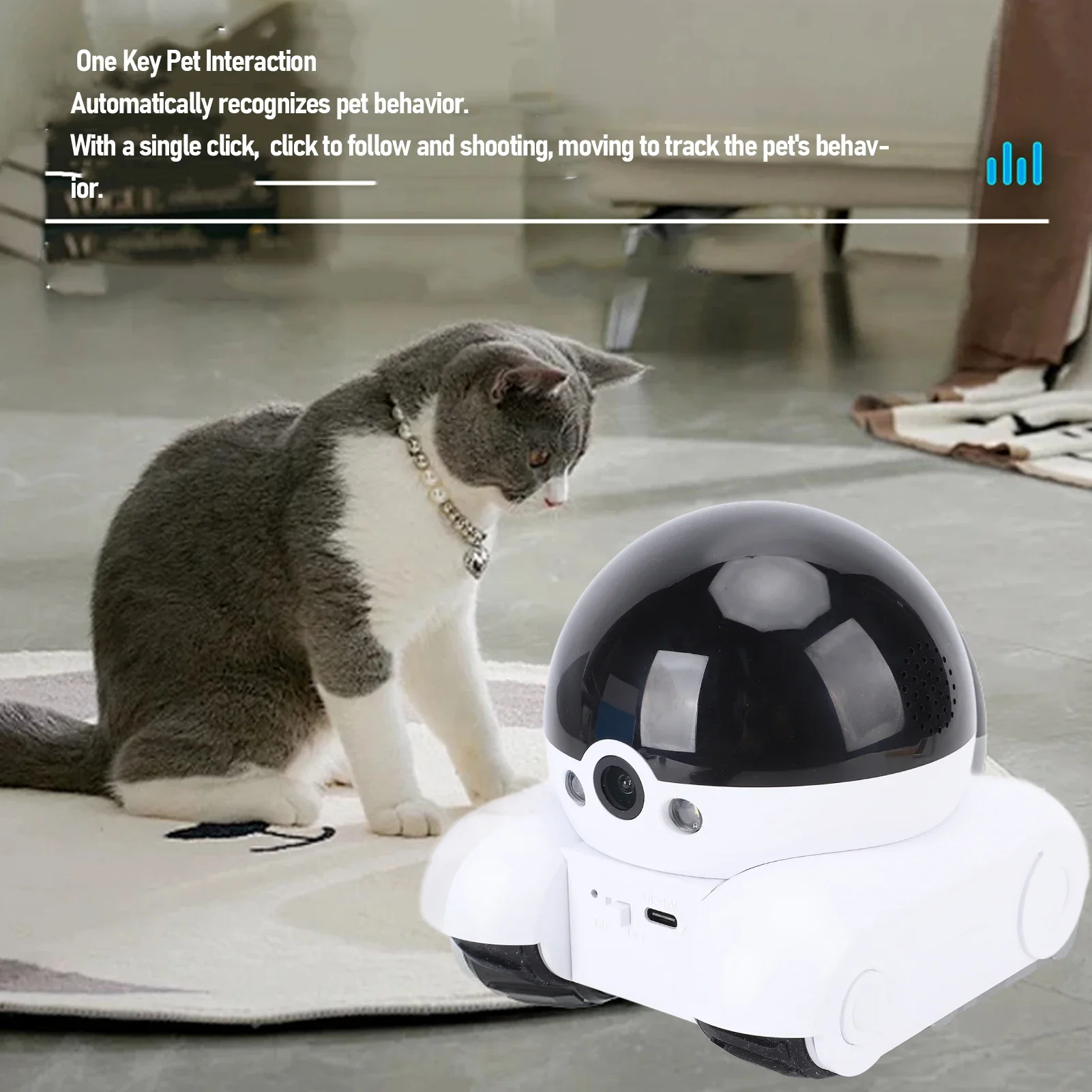 กล้องวงจรปิดภายในอาคาร 2MP เลน - Home Security Images บทวิจารณ์และราคา