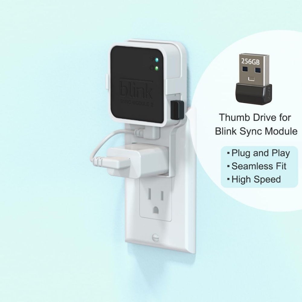 แฟลชไดรฟ์ USB ขนาด 256GB พร้อม - Home Security Images บทวิจารณ์และราคา