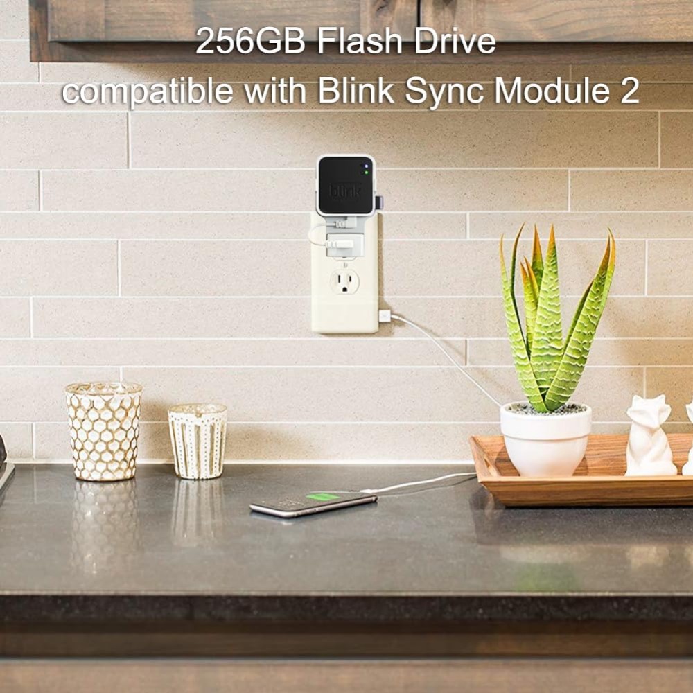 แฟลชไดรฟ์ USB ขนาด 256GB พร้อม - Home Security Images บทวิจารณ์และราคา