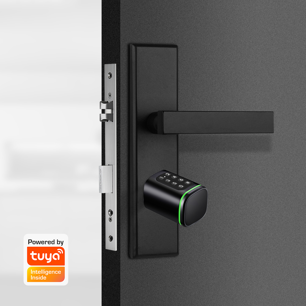 สมาร์ทล็อคกระบอก Tuya 60-90 มม - Home Security Tips บทวิจารณ์และราคา